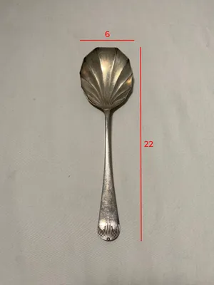 Cucchiaio da portata conchiglia