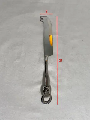 Coltello da formaggio