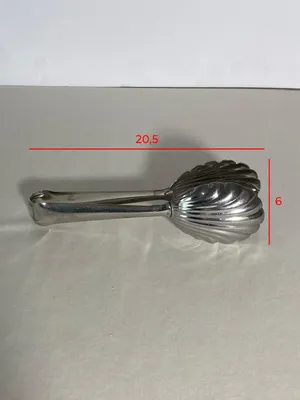 Pinza conchiglia