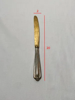 Coltello dorato