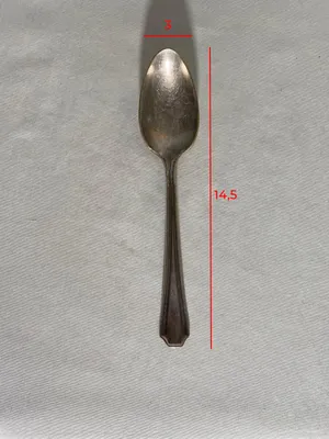Cucchiaino Sherry