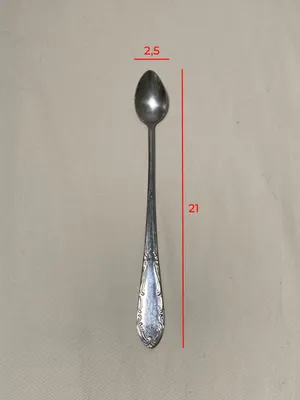 Set 6 cucchiaini lunghi