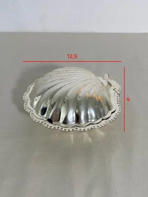 Contenitore conchiglia champagne