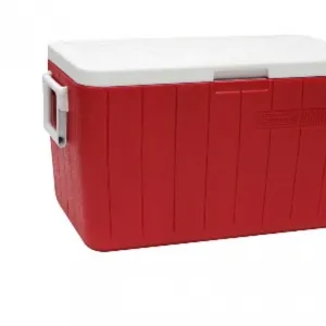Cooler - Medium Size, Generic Brand