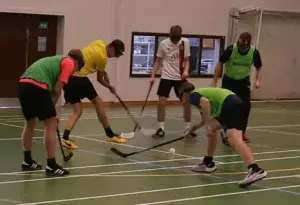 Lej hockey stave
