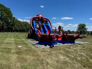 19' Tentacle Typhoon Slide - Dual Lane