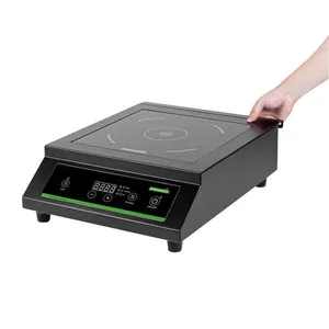 Induction Cooker 240 volt