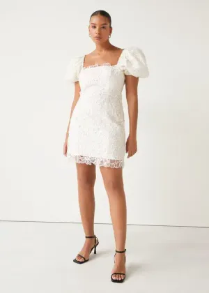 & Other Stories Embroidered Organza Puff Sleeve Mini Dress (size medium)