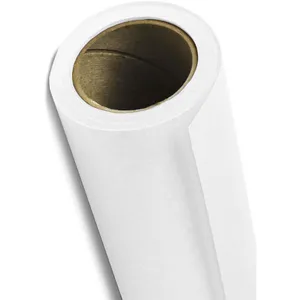 Savage Savage Widetone Seamless Background Paper (Super White, 107