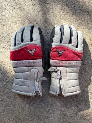 Adult Womens S: Dynastar, Grey with red stripe