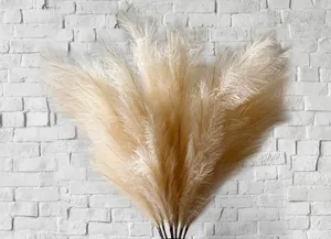 Faux Pampas Grass 48” (Set of 6 & 12)