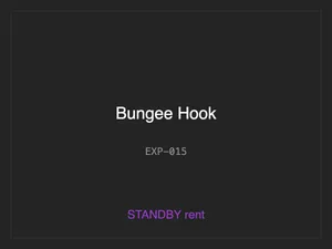 Bungee Hook