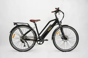 STEP THROUGH E-BIKE