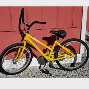 Bike Medium Cruiser (5'0