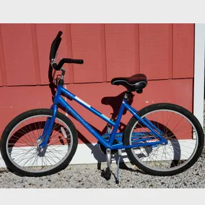 Bike Large Cruiser (5'6 - 6'2)