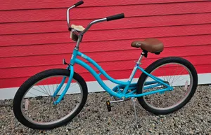 Bike Medium Cruiser (4'10