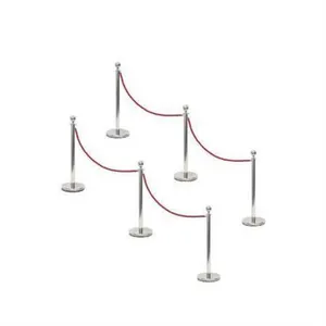 Sliver Post & Rope Package - 6 Post/4 Ropes