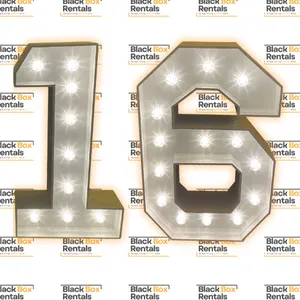 4FT LED Numbers Set