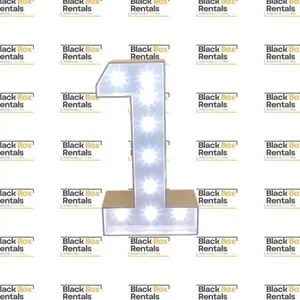 Single 4FT LED Number