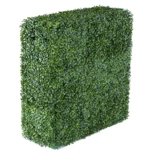 30