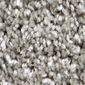 Silver Carpet 10 x 10