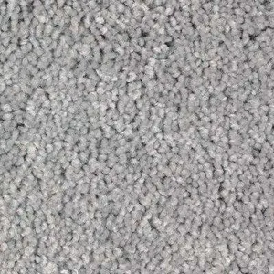 Couvre Plancher/ Flooring:  Tapis 10x10 Gris Pâle/ Light Grey Carpet 10x10