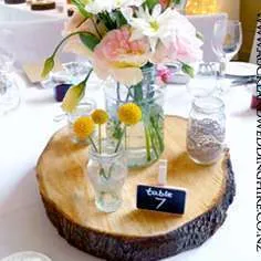 Log Slices 
