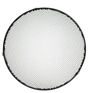 Profoto 10° Grid