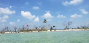 Family Paddle Day Package