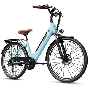 Pigeon Key Ride- City Scape 2.0 Electric Bike