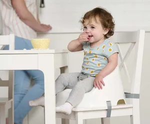 Baby booster Seat