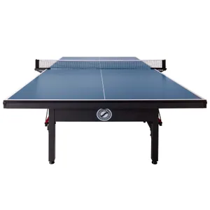 Ping Pong Table