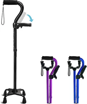 Adjustable Dual-Handle Cane