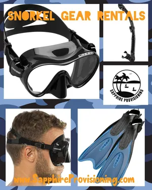 Snorkel Gear Bundle - (Mask, Snorkel, Fins and Snorkel Vest)