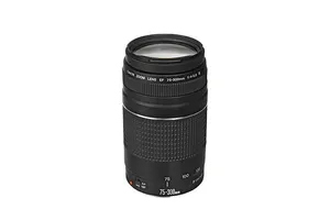 Canon Zoom Lens 75-300mm
