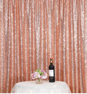 Fancy Sequin Backdrop