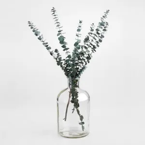 Jug Vase