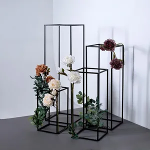 Black Matte Framed Cages