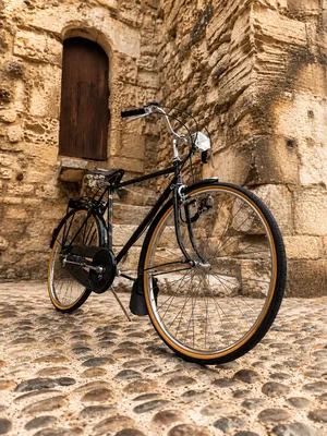 Le Gentleman Anglais - Raleigh Sport