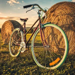 La Lady Raleigh années 70/80 taille M/L