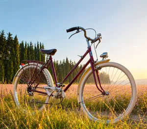 La Parisienne – Cycles FOR Paris années 50 taille M/L