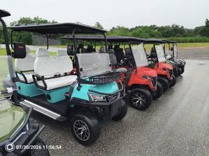 Tax Exempt Charity or Organization ONLY Long Term Golf Cart Rental (Over 30 Days) Daily Price is a 24 hour period