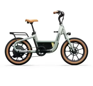 Segway Muxi