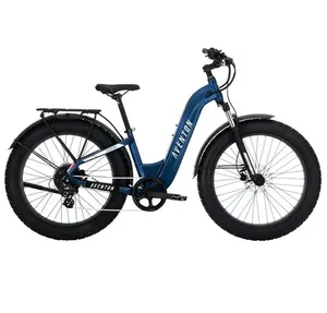 Aventon Aventure (Step-Thru option)
