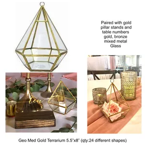 Geo Med Gold Terrarium (assorted shapes)