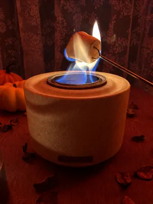 Smore's Cart