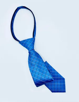 TZ01 Zip Tie