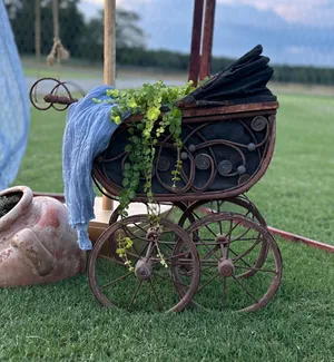 Antique Baby Doll Stroller