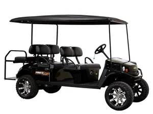6 Passenger Golf Cart Rental