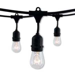 Cafe Lights (18 bulbs, stretches 36 feet) 
